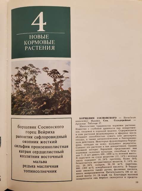 Страница из книги: Новые кормовые растения (в том числе Борщевик Сосновского)