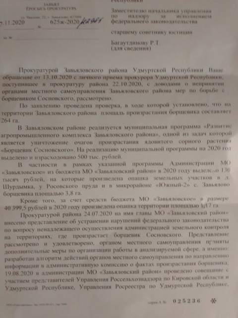 Ответ из прокуратуры Завьяловского района Удмуртской Республики по поводу борщевика - 1