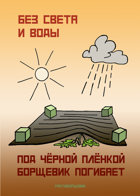 Постер про борщевик Сосновского - чёрная пленка
