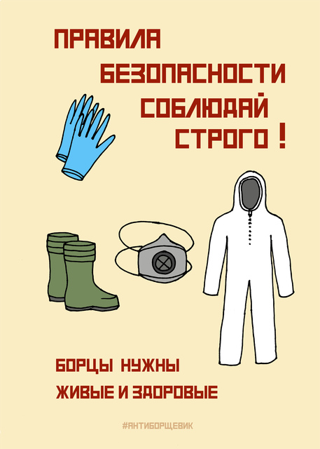 Плакат про борщевик Сосновского - как не получить ожог