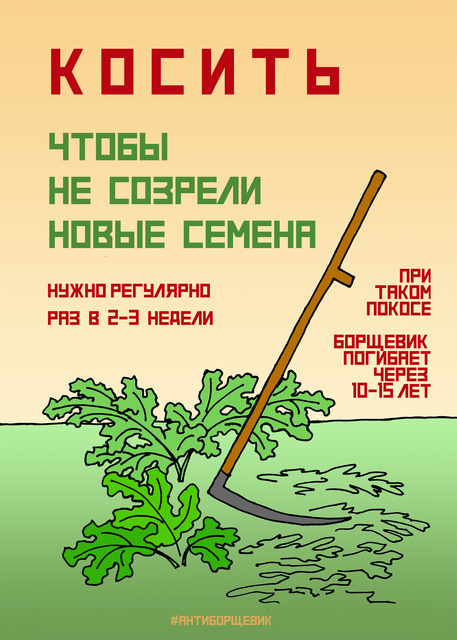 Плакат про борщевик Сосновского - Косить