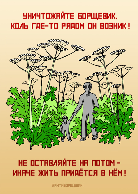 Плакат про борщевик Сосновского - зачем уничтожать борщевик