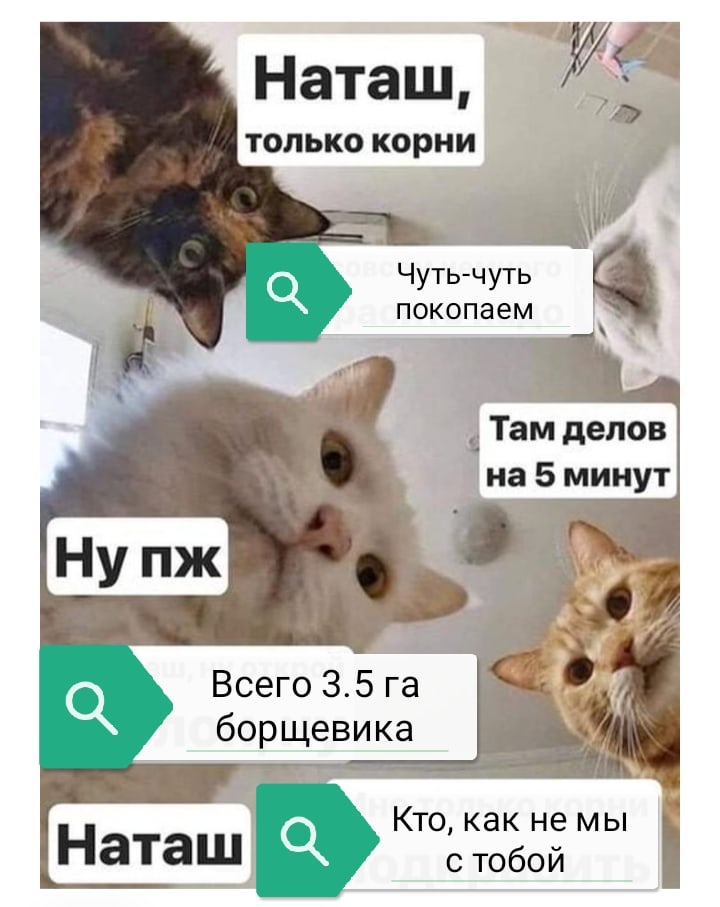 Они же одинаковые наташа